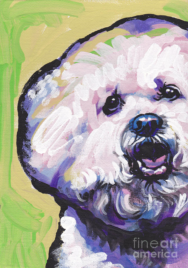 A Little Bichon Painting by Lea S