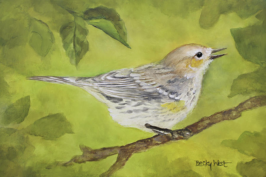 Bird Drawing - A little birdie by Becky West