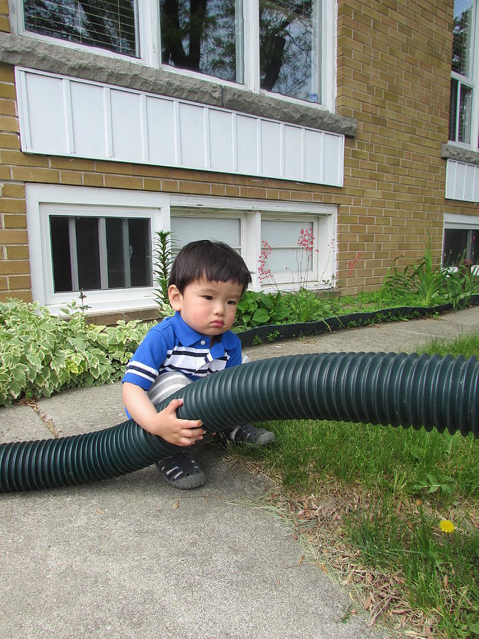 A little boy plays in Front yard Photograph by Connie Du - Fine Art America