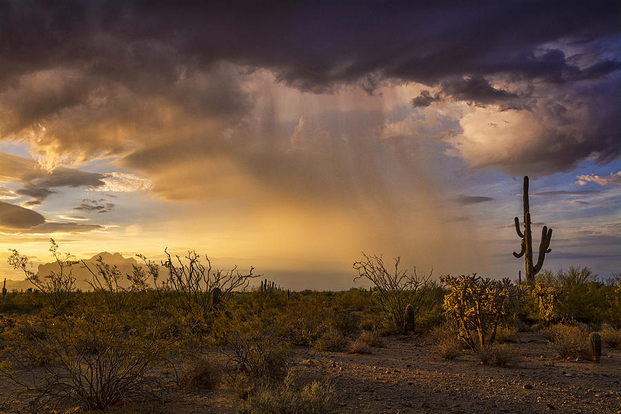 Sunrise Photograph - A Little Desert Rain  by Saija Lehtonen
