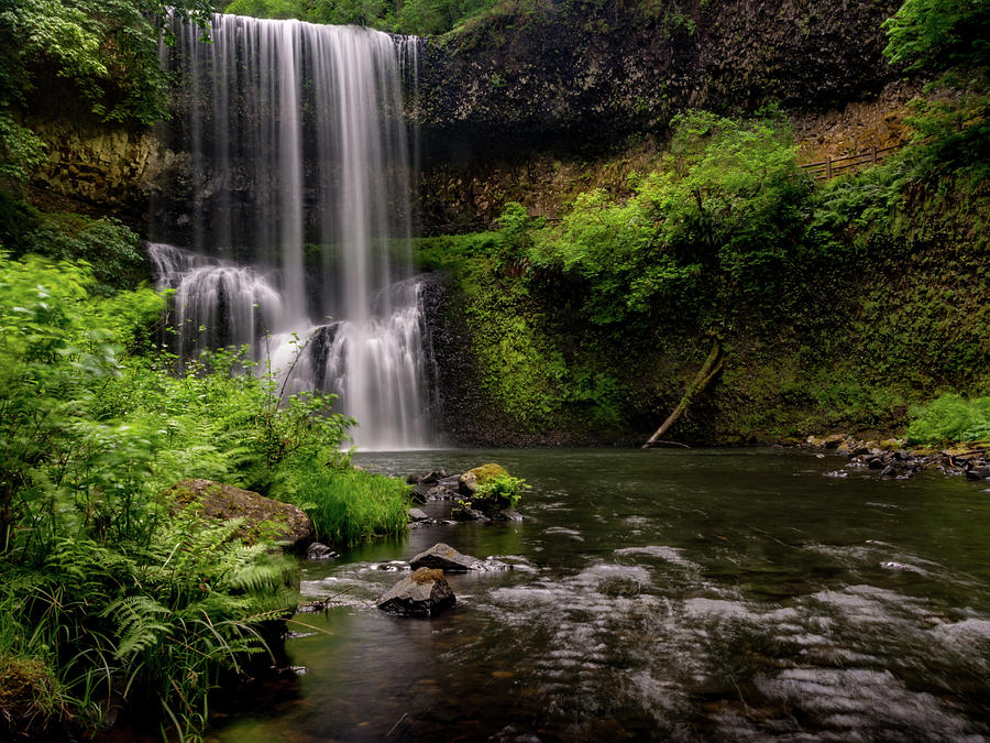 A Little Eden Photograph by Michele James - Fine Art America