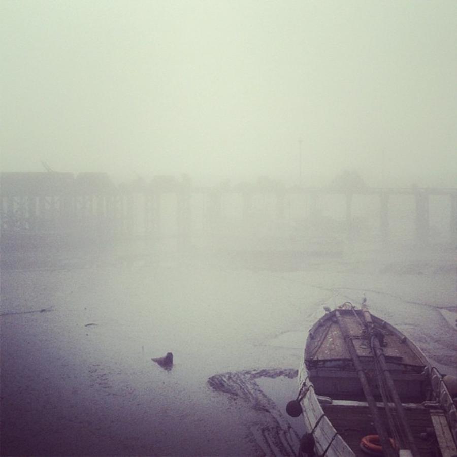 A Little Foggy In Brid... Hows The Photograph by Rachael Purdy