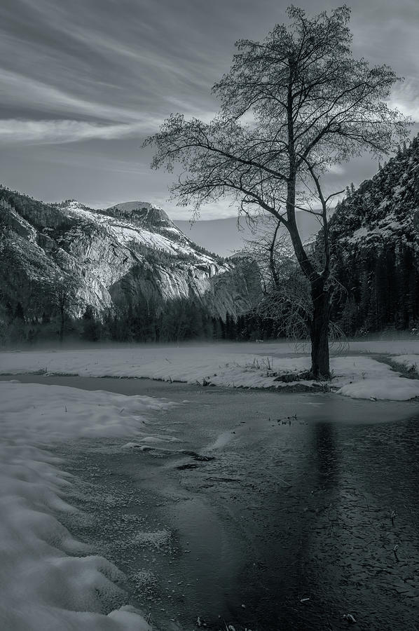 A Little Light In The Winter BW Photograph by Jonathan Nguyen