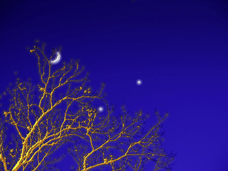 Planet Digital Art - A Little Night Magic by Wendy J St Christopher
