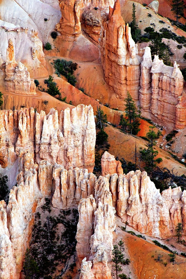 Bryce Canyon Photograph - A Little Piece of Bryce by Lana Trussell