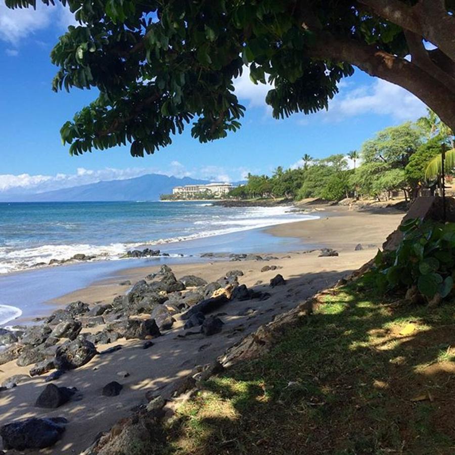 Maui Photograph - A Little Piece Of Paradise From My Home by Darice Machel McGuire