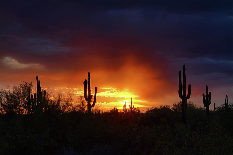 A Little Red Rain at Sunset Photograph by Saija Lehtonen - Fine Art America