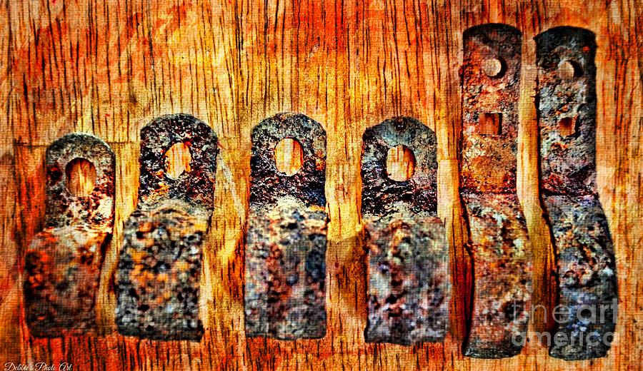 A Little Rusty Line Up 2 Photograph by Debbie Portwood