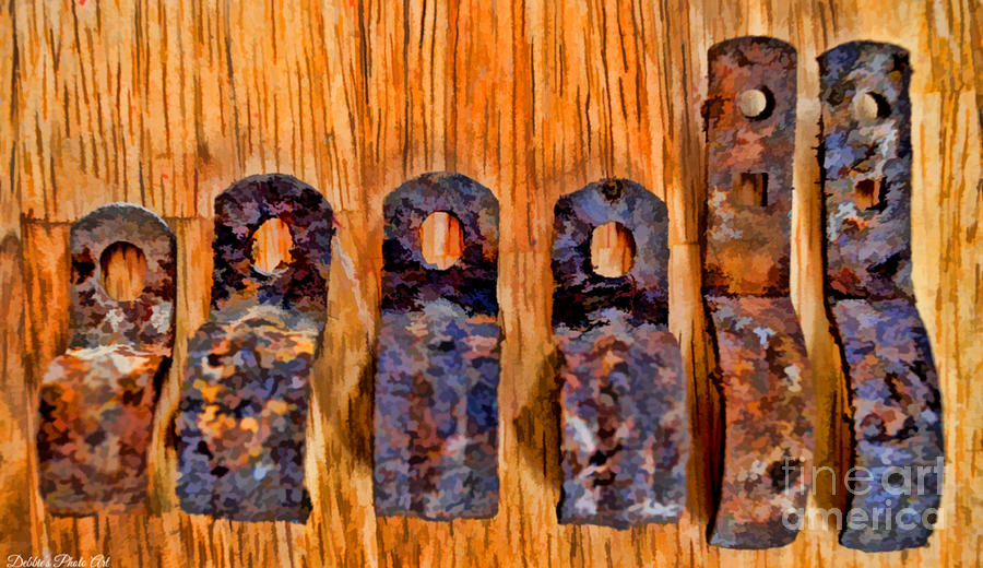 A Little Rusty Line Up 3 Photograph by Debbie Portwood