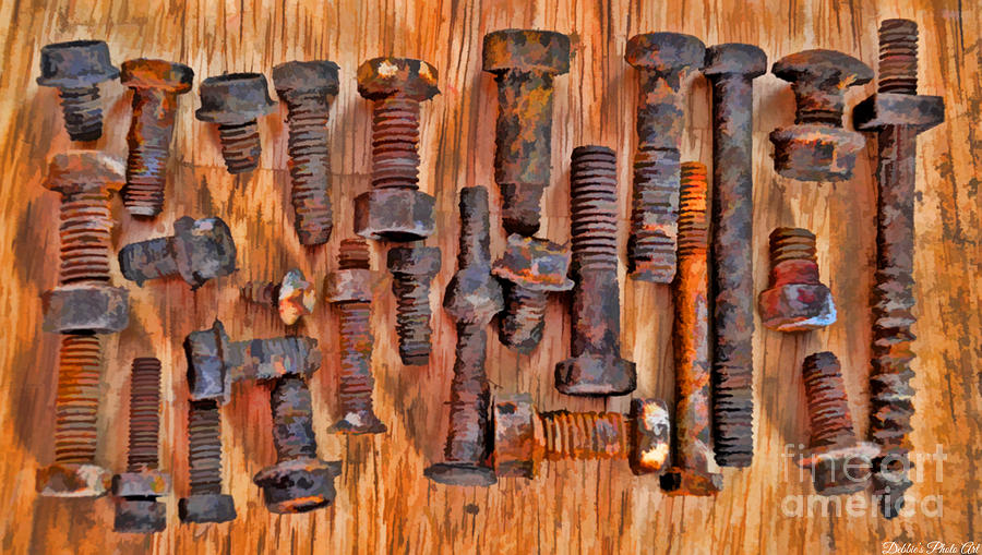 Rusty Nut Collection 3 Photograph by Debbie Portwood
