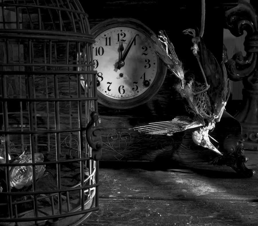 A little too late Photograph by Robert Och A little too late Photograph by Robert Och