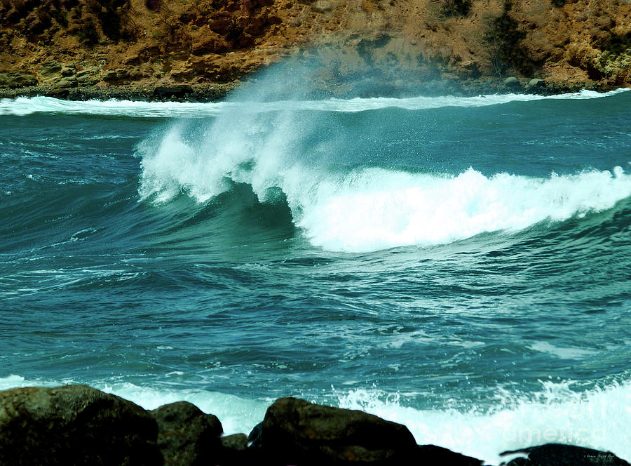 A Little Wave Action Photograph by Patricia Griffin Brett