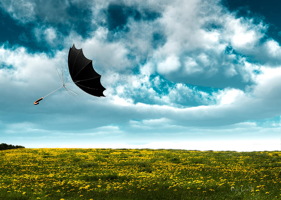 Umbrella Photograph - A Little Windy by Bob Orsillo