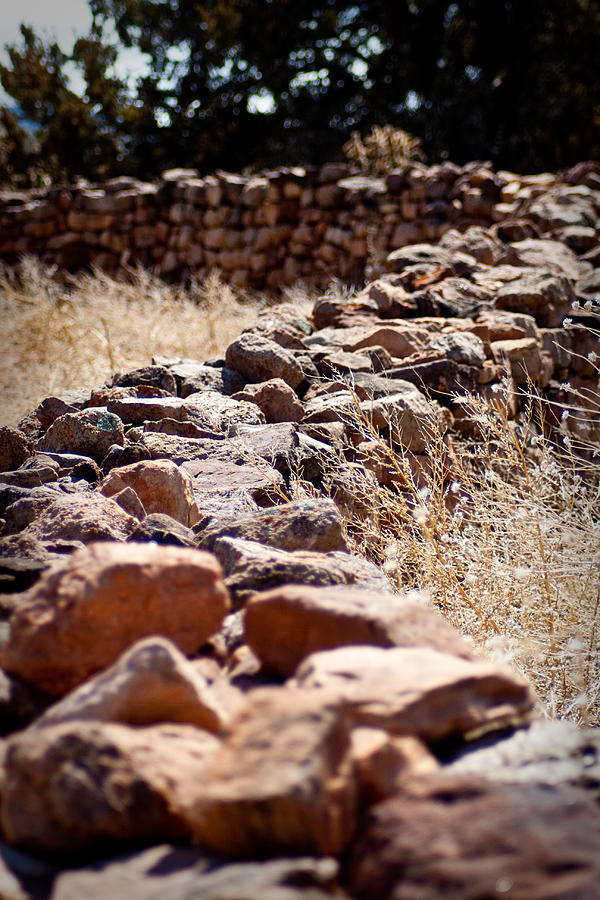 Landscape Photograph - A Living Past by Kandie Kingery Landscape Photograph - A Living Past by Kandie Kingery