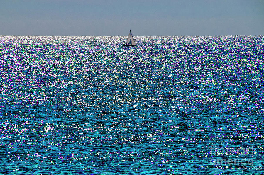 A lone sailor glides Photograph by Julian Starks