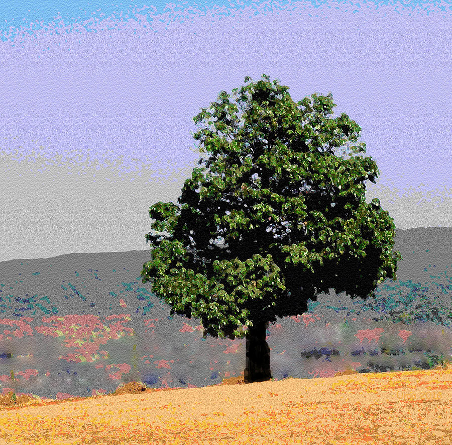 A Lone Tree Digital Art by Uma Krishnamoorthy