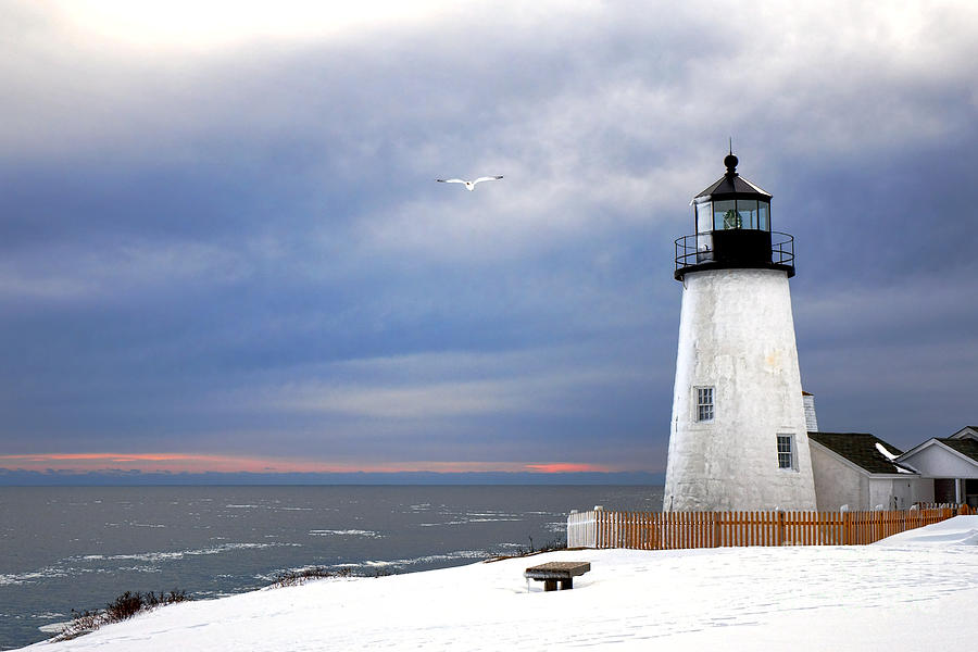 A Lonely Seagull was Flying over the Pemaquid Point Lighthouse Photograph by Olivier Le Queinec