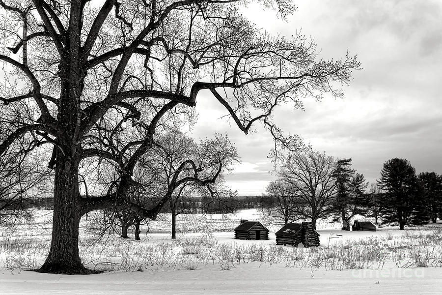 A Long Winter in Valley Forge Photograph by Olivier Le Queinec