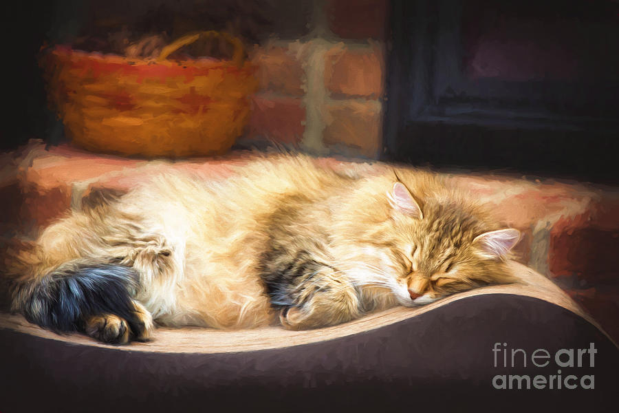 Impressionism Digital Art - A Long Winters Nap by Sharon McConnell