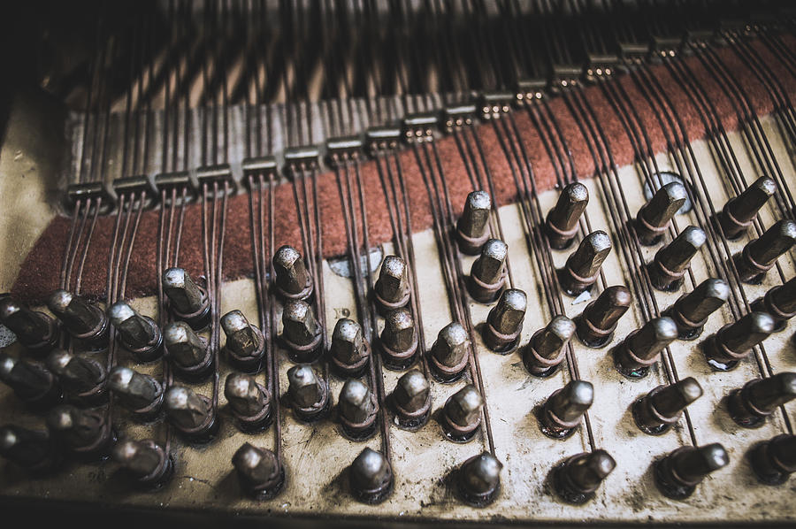 A Look Inside An Old Steinway and Sons Piano Photograph by Ray Sheley ...