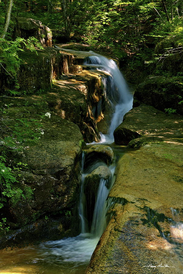 A Lost Cascade Photograph by Harry Moulton