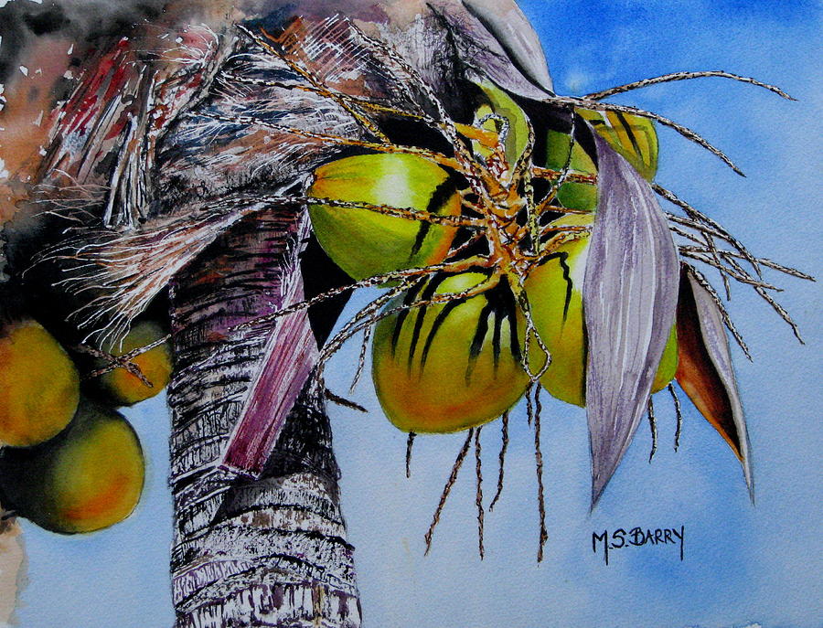 A Lovely Bunch of Coconuts Painting by Maria Barry