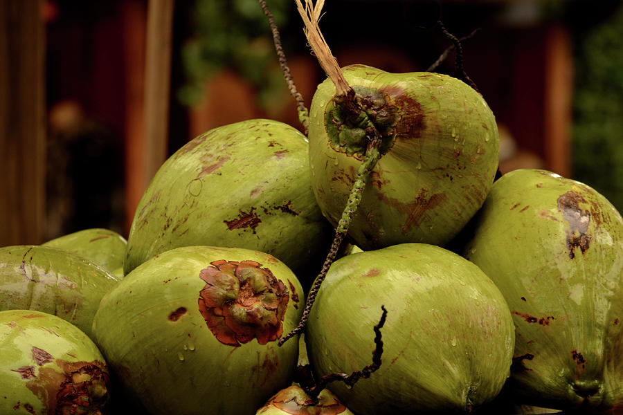 A Lovely Bunch of Coconuts Photograph by Nadalyn Larsen
