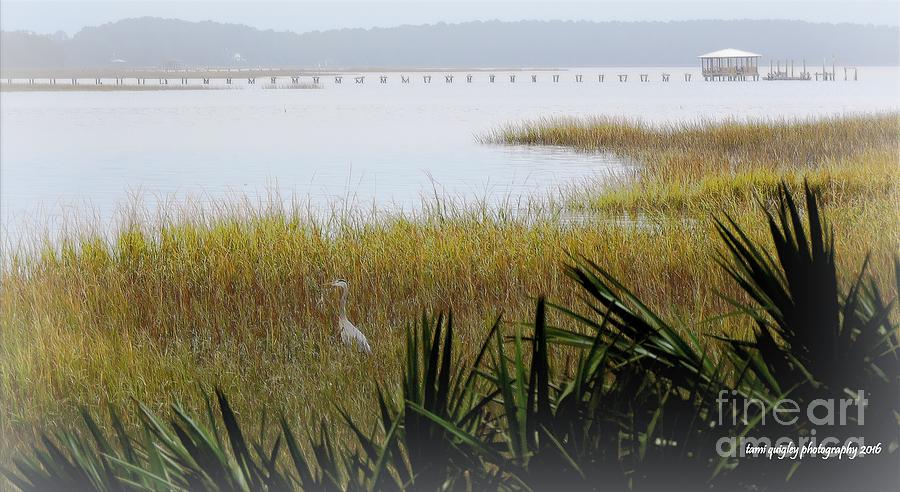 A Lowcountry Morning  Photograph by Tami Quigley