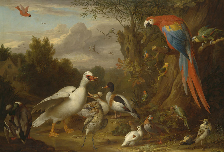 A Macaw, Ducks, Parrots and Other Birds in a Landscape Painting by Jacob Bogdani