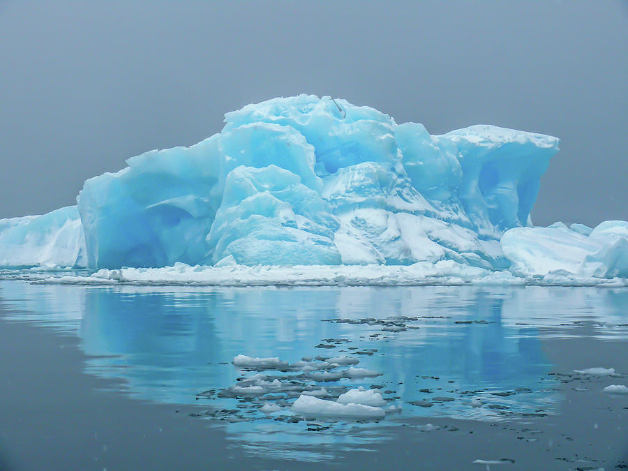 A Magnificent Blue Iceberg In Antarctica Photograph by Elizabeth ...