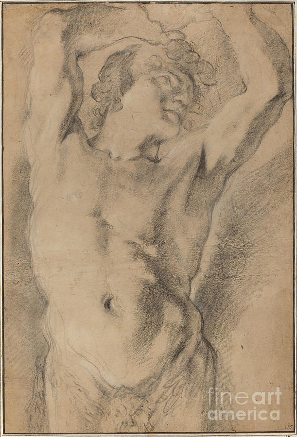 A Male Herm Drawing by Domenico Maria Canuti