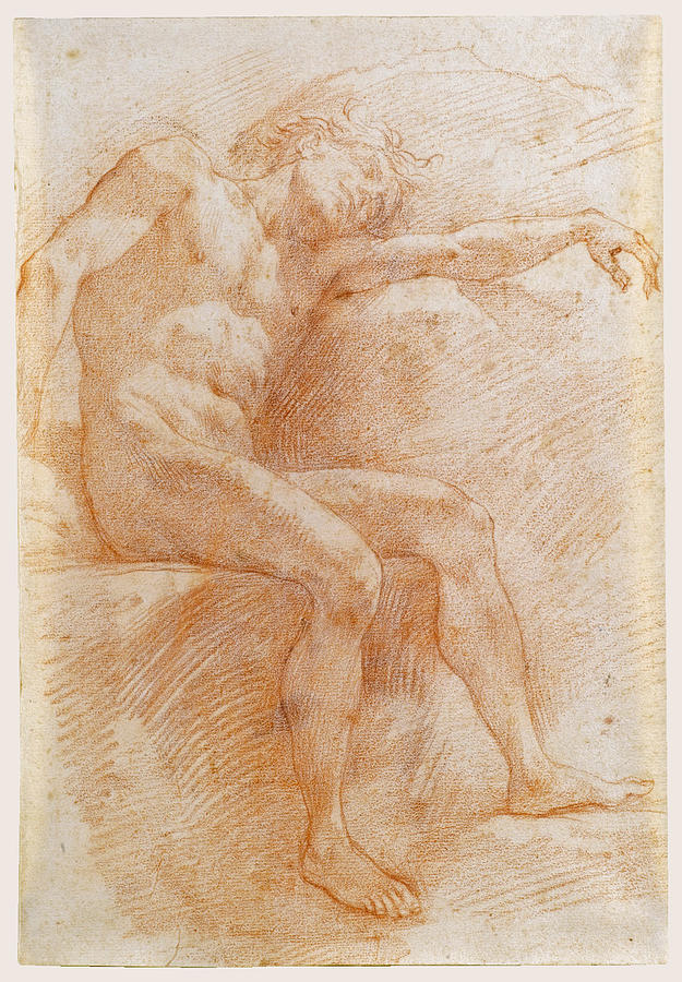 A male nude sleeping seated and resting against a rock Drawing by Baldassare Franceschini