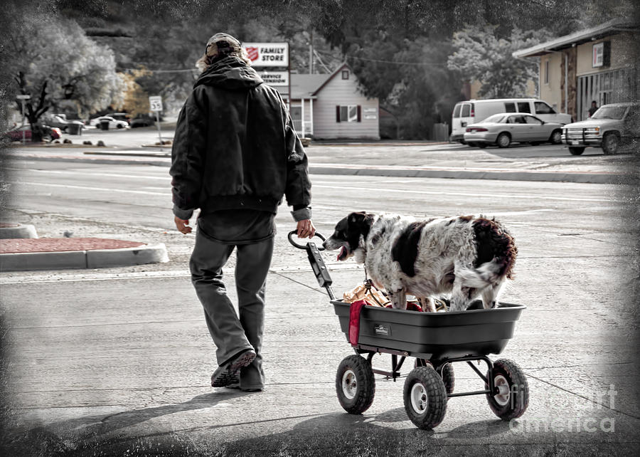 A Man And His Dog Photograph by Janice Pariza