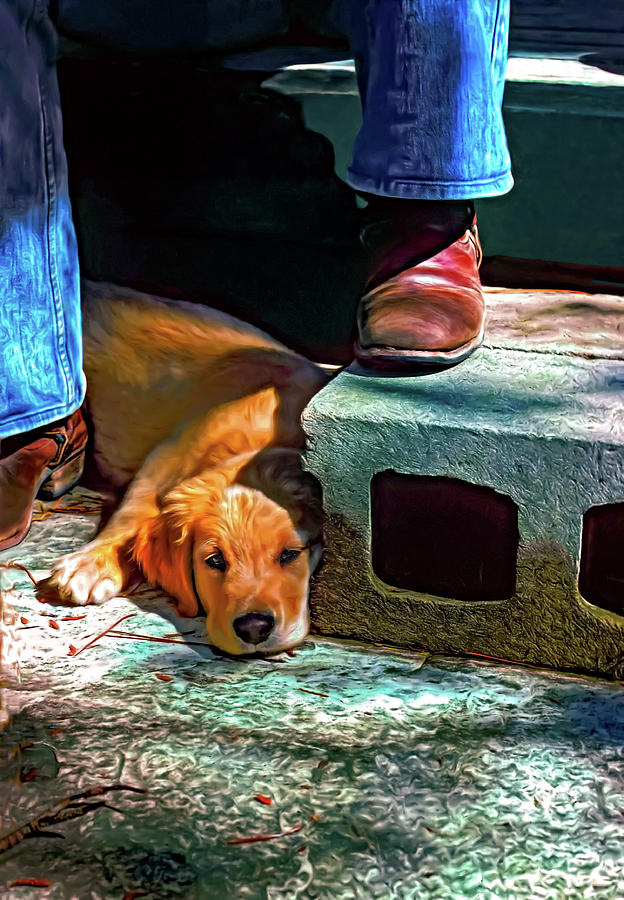 A Man and His Dog - Paint Photograph by Steve Harrington
