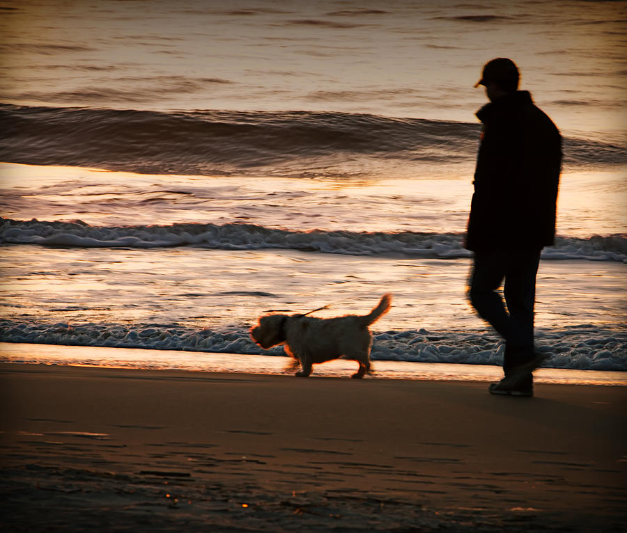 A Man And His Dog Photograph By Paul Donihue - Pixels