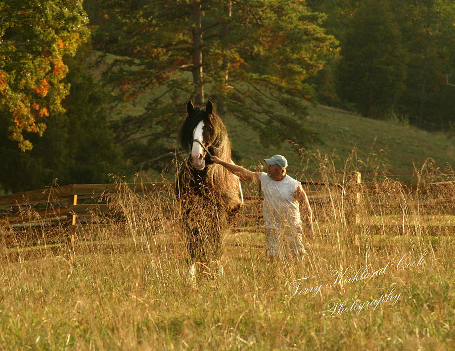 A Man and His Horse Photograph by Terry Kirkland Cook