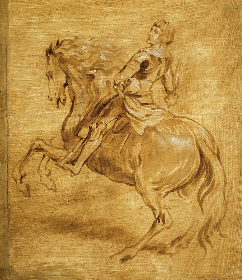 A Man Riding a Horse Painting by Anthony van Dyck