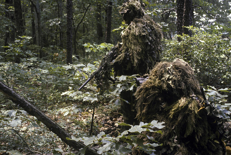 Tree Photograph - A Marine Sniper Team Wearing Camouflage by Stocktrek Images