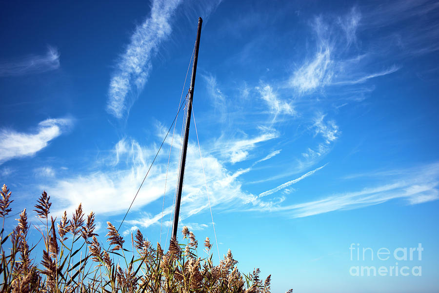 Mast Photograph - A Mast Appears On Long Beach Island by John Rizzuto Mast Photograph - A Mast Appears On Long Beach Island by John Rizzuto