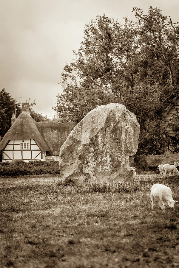 A Megalith and Sheep Photograph by W Chris Fooshee