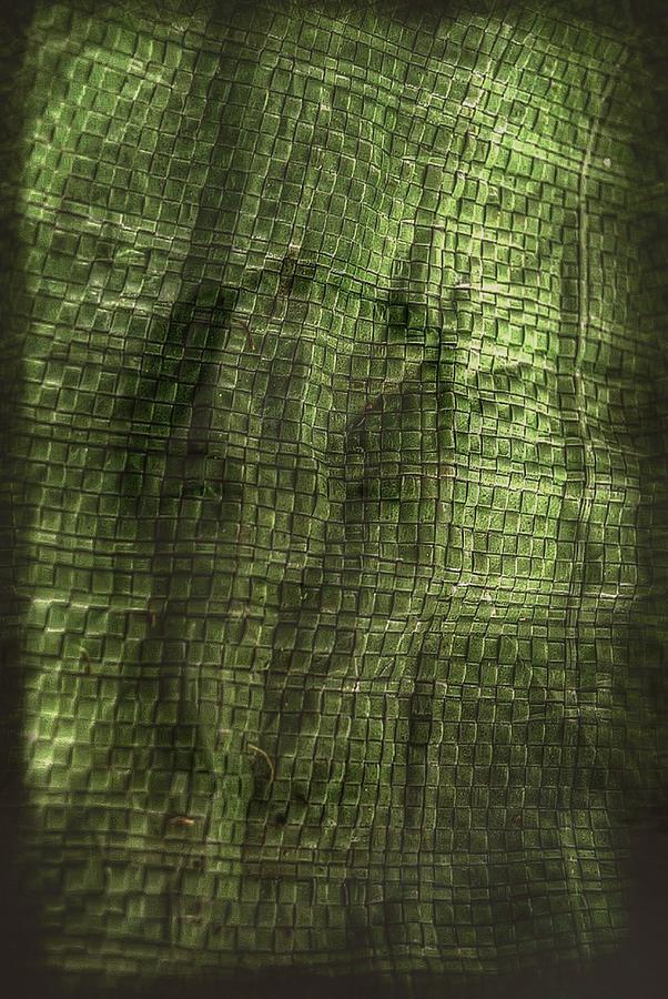 A Mental Squint - the green man Photograph by Sean-Michael Gettys