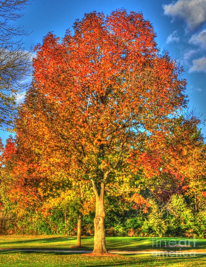 Fall Photograph - A Michigan Fall-2 by Robert Pearson