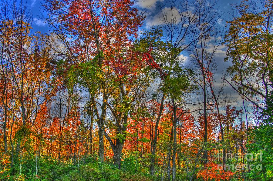 Fall Photograph - A Michigan Fall by Robert Pearson