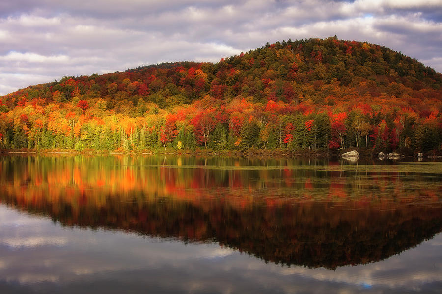 A Mid Autumns Day Dream Photograph by Mike Lang