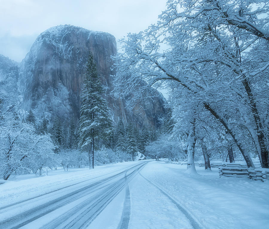 A Mid-Winter Dawn Dream Photograph by Jonathan Nguyen