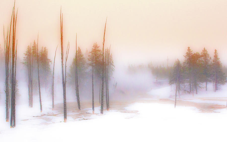 Mist Photograph - A Midwinters Dawn Dream by Paul Malen Mist Photograph - A Midwinters Dawn Dream by Paul Malen