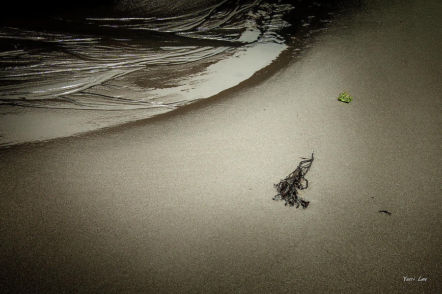 A Minimalist Beach in Rockport MA. Photograph by Yuri Lev