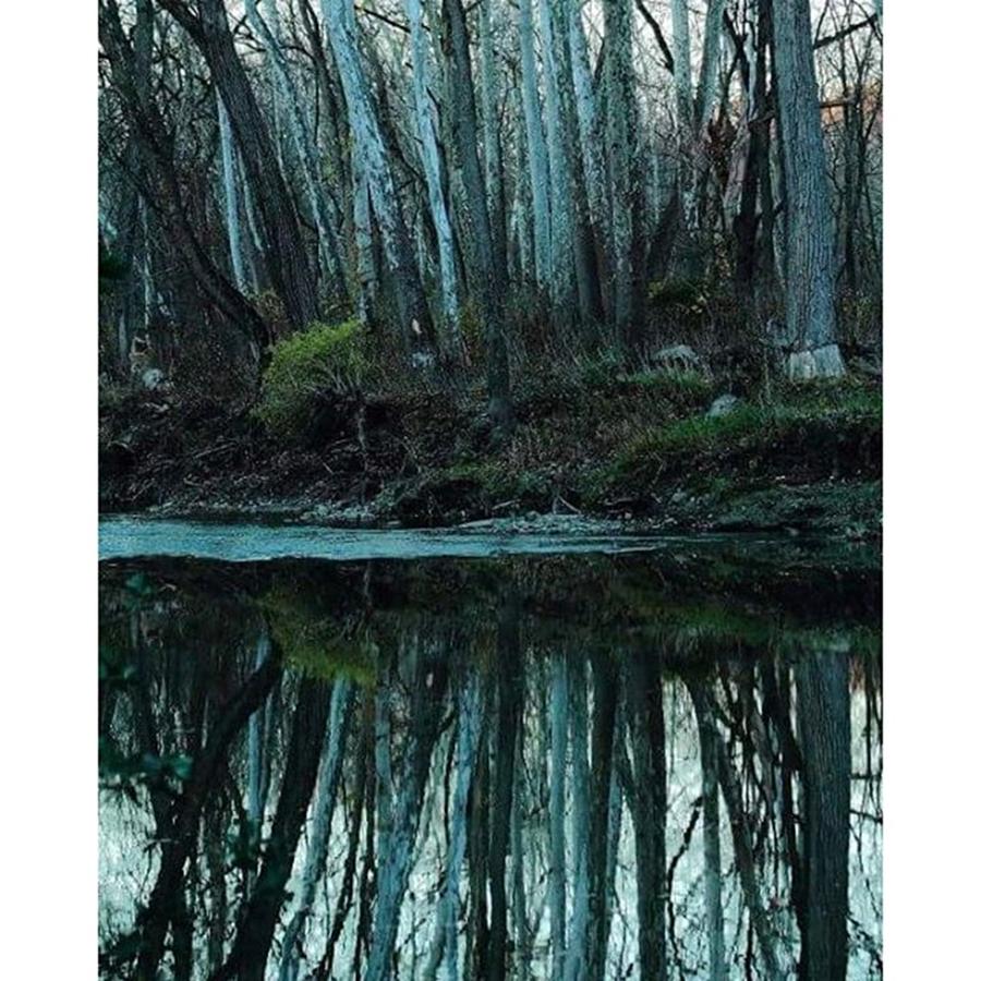 Nature Photograph - A Mirror Image From South Chagrin by Bruce Patrick Smith