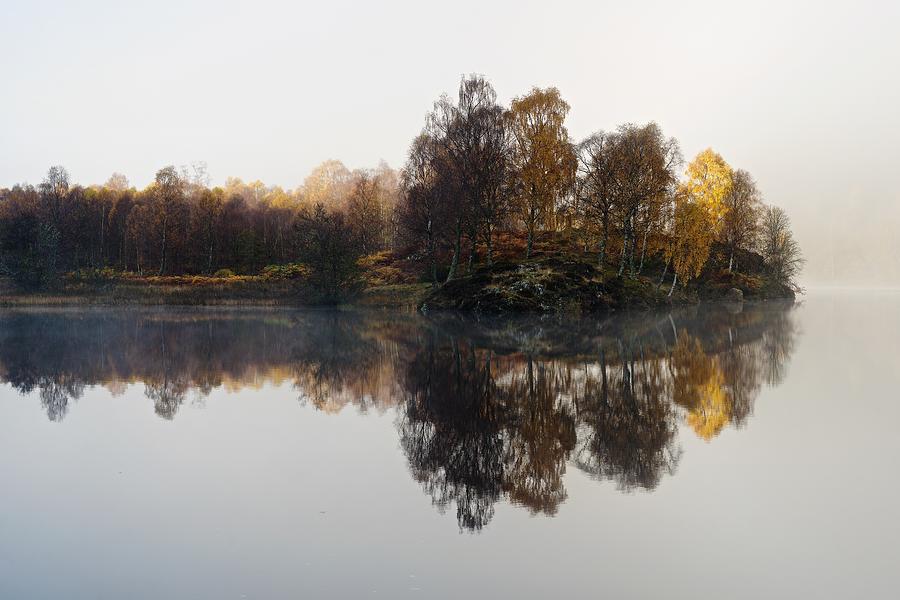 A misty autumn Photograph by Stephen Taylor