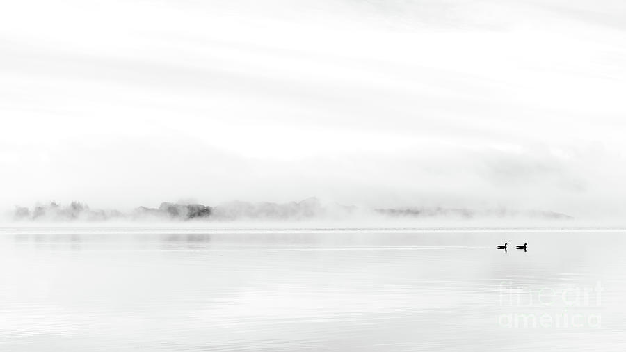 A Misty Morning At Milarrochy Photograph by Richard Burdon